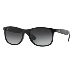 RAY-BAN ANDY RB4202 601/8G RAY-BAN ANDY RB4202 601/8G