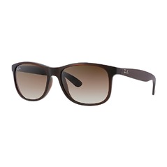 RAY-BAN ANDY RB4202 607313