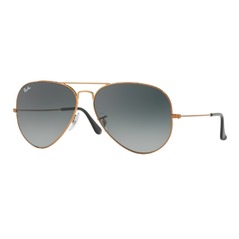 RAY-BAN AVIATOR TM LARGE METAL II RB3026 L2821