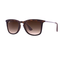 RAY-BAN RB4221 865/13 RAY-BAN RB4221 865/13