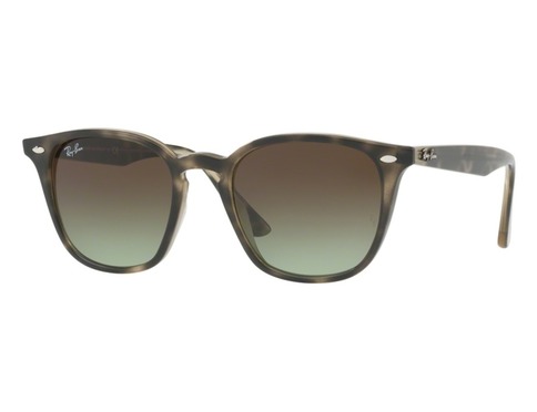 RAY-BAN RB4258 731/E8