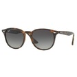 RAY-BAN RB4259 710/11